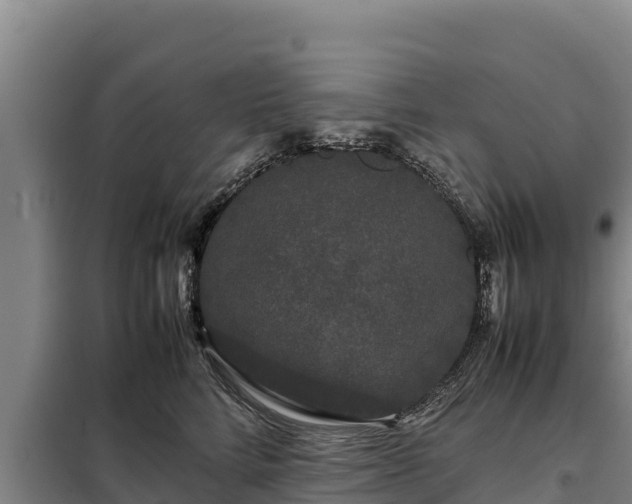 X0000099310712200805091018