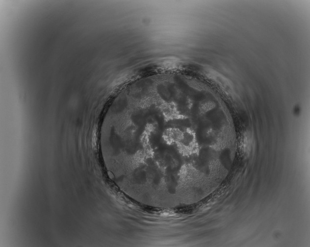 X0000099310715200805091017