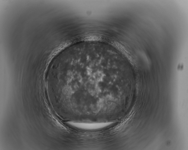 X0000099310721200805091017
