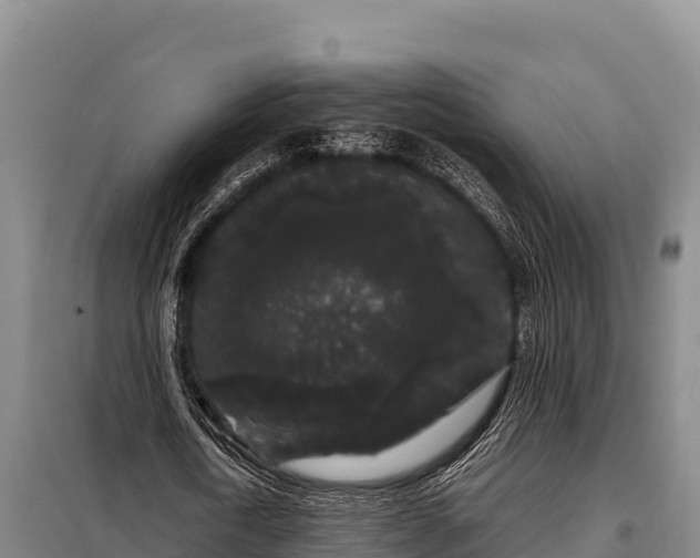 X0000099310722200805091017