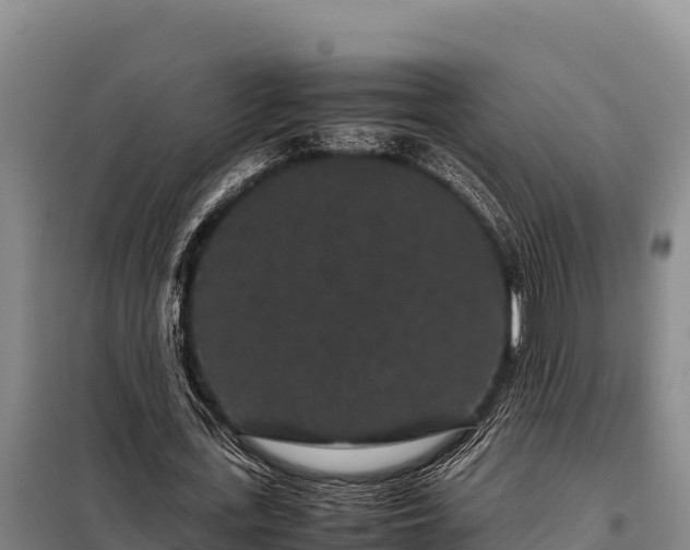 X0000099310723200805091017