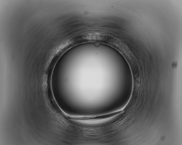 X0000099310727200805091017