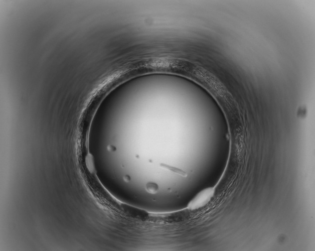 X0000099310728200805091017