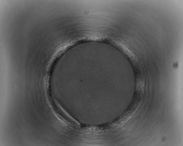 X0000099310736200805091017
