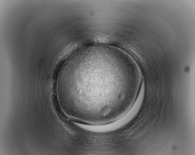 X0000099310738200805091017