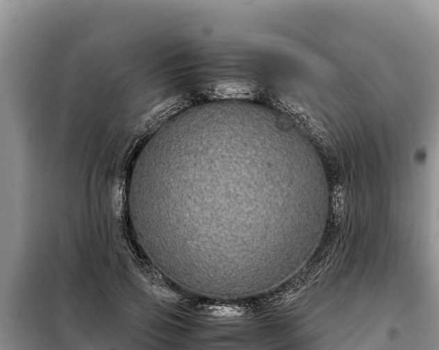 X0000099310741200805091017