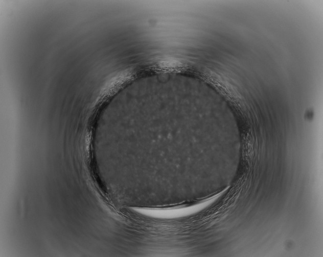X0000099310742200805091017