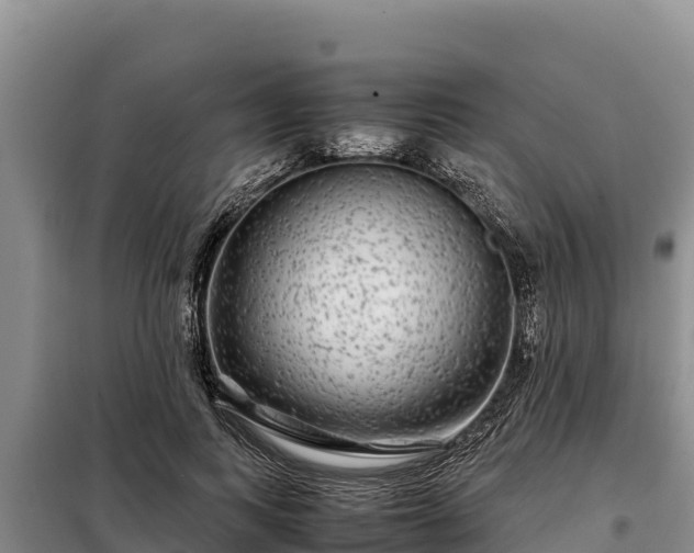 X0000099310743200805091017
