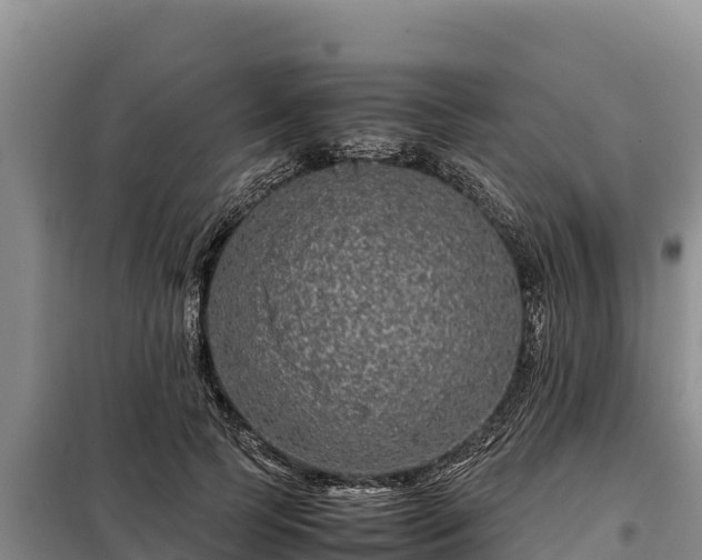 X0000099310745200805091017