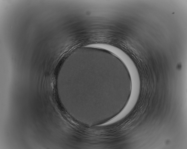 X0000099310747200805091017