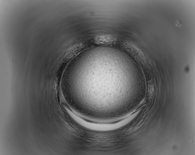 X0000099310749200805091017