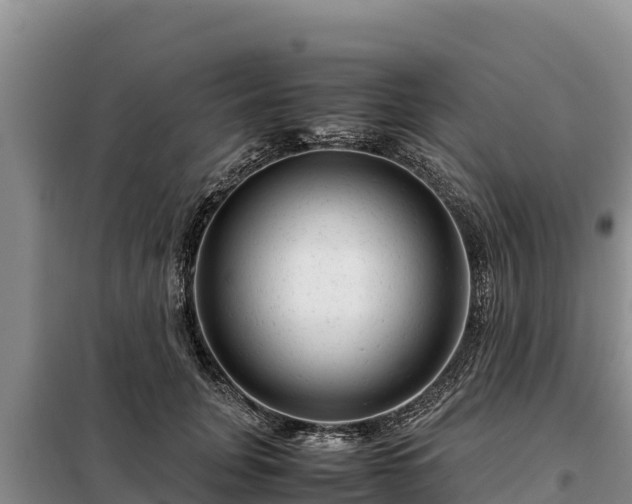 X0000099310751200805091017