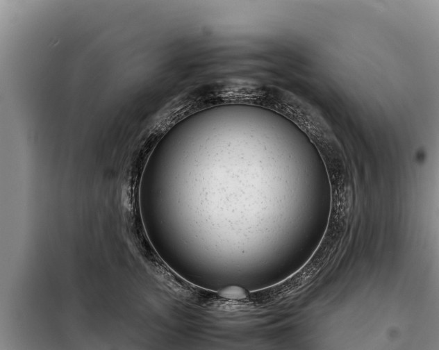 X0000099310755200805091017