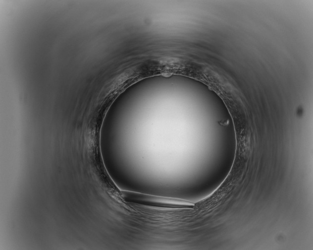 X0000099310756200805091017