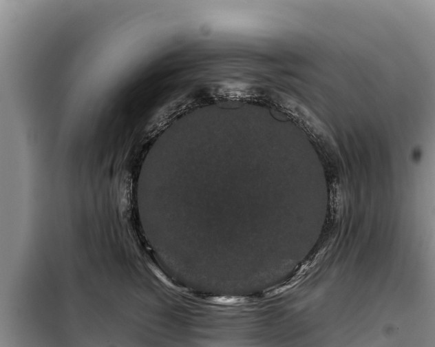 X0000099310760200805091017
