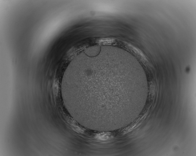 X0000099310761200805091017