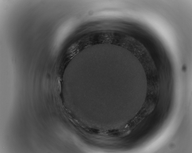X0000099310766200805091017