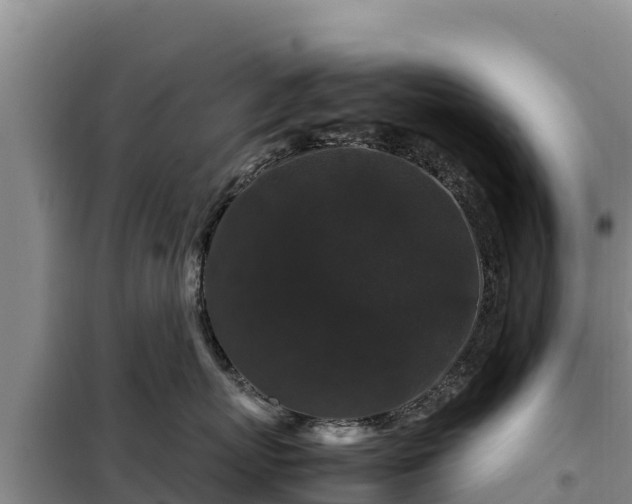 X0000099310767200805091017