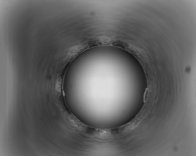 X0000099310768200805091017