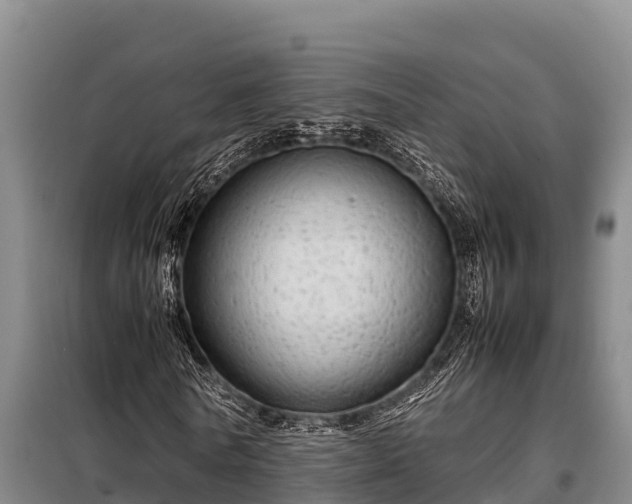 X0000099310770200805091017