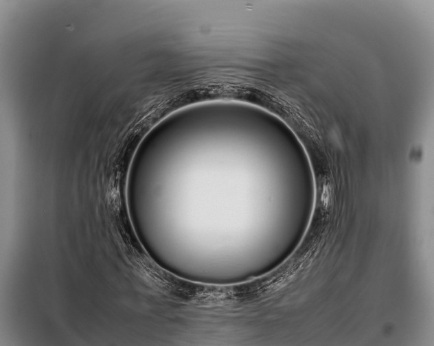 X0000099310771200805091017