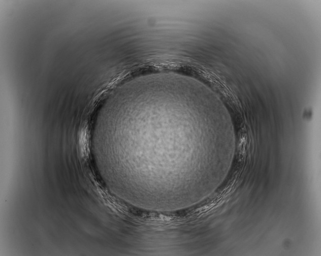 X0000099310772200805091017