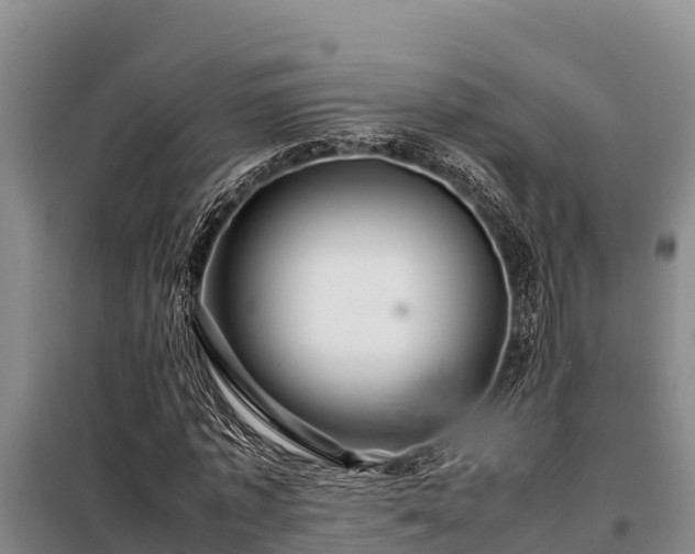 X0000099310773200805091017
