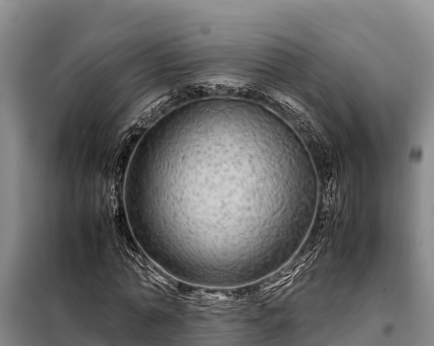 X0000099310774200805091017