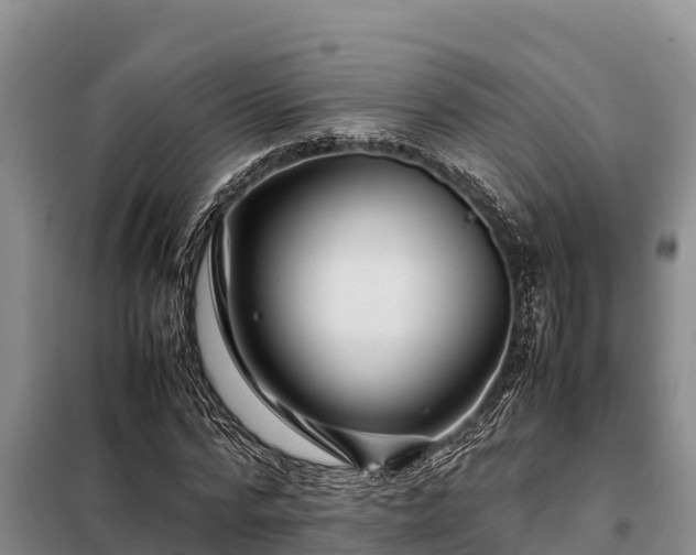X0000099310776200805091017