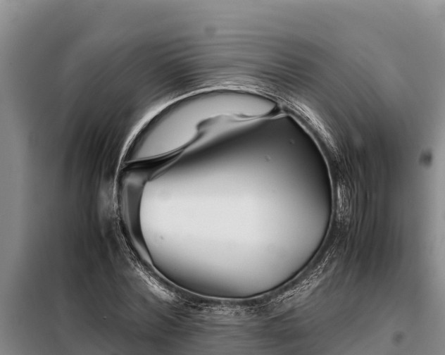 X0000099310780200805091017
