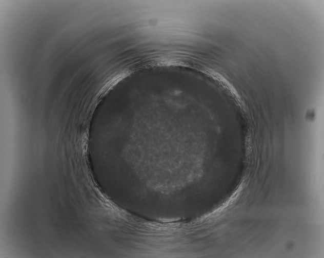 X0000099310785200805091017