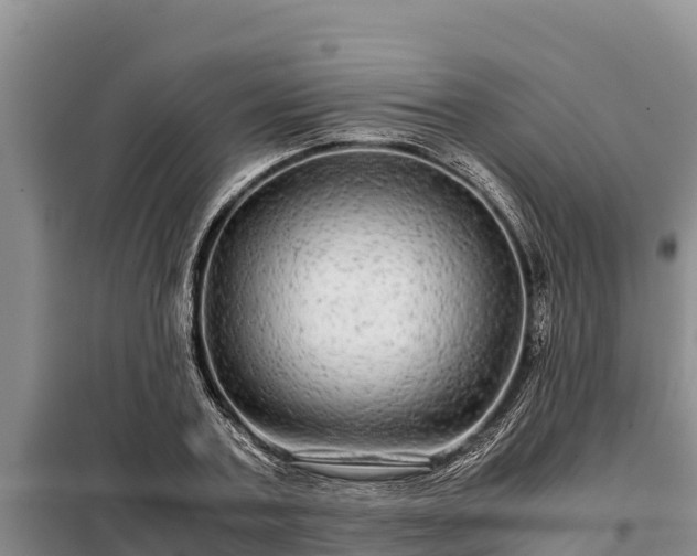 X0000099310787200805091016