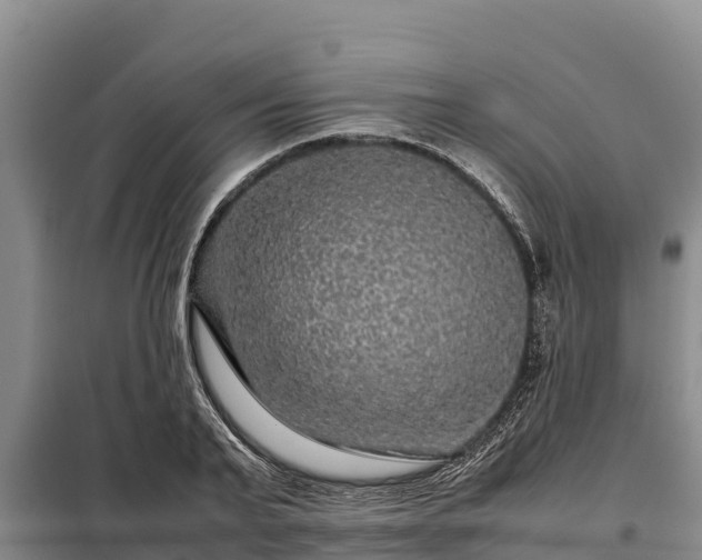 X0000099310791200805091016