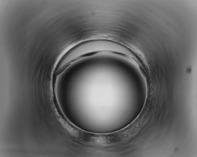 X0000099310792200805091016