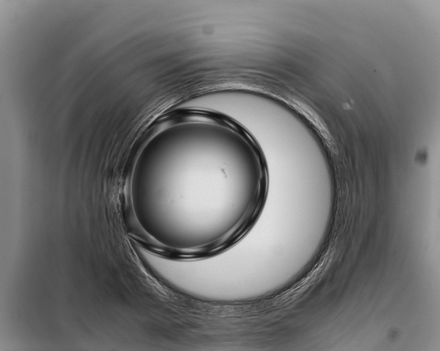 X0000099310793200805091016
