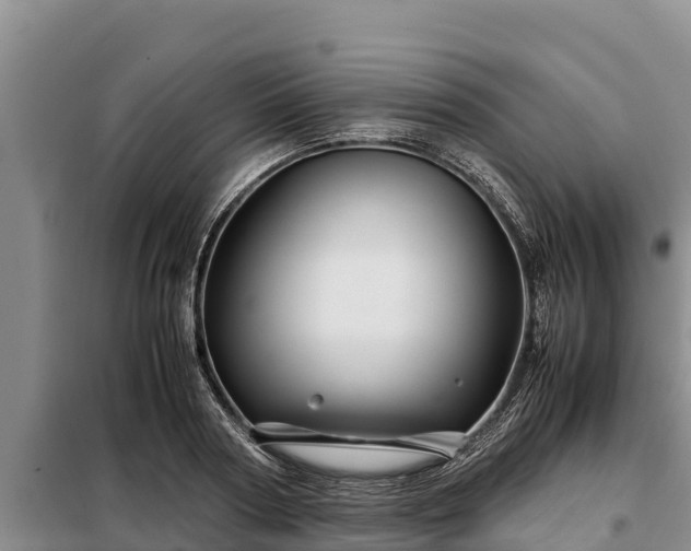 X0000099310794200805091016