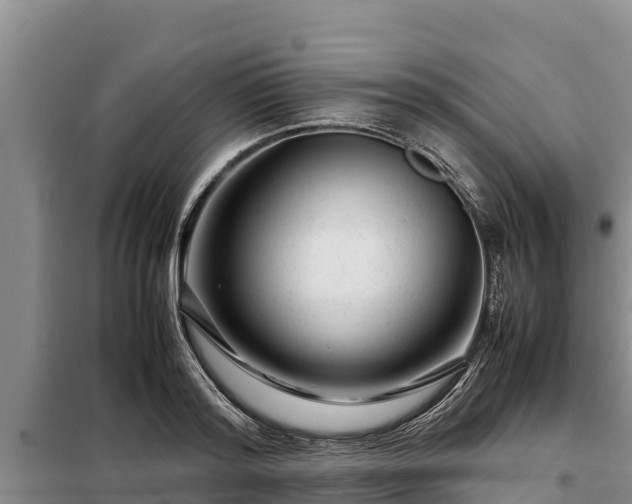 X0000099310796200805091016