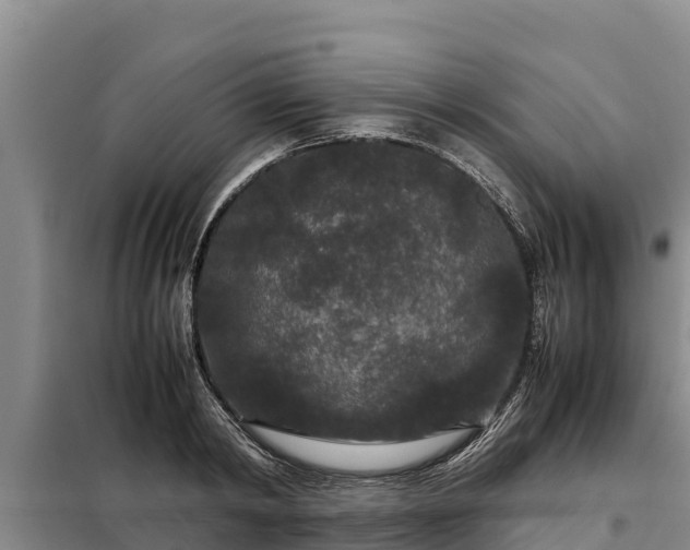 X0000099310798200805091016