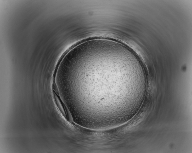 X0000099310799200805091016