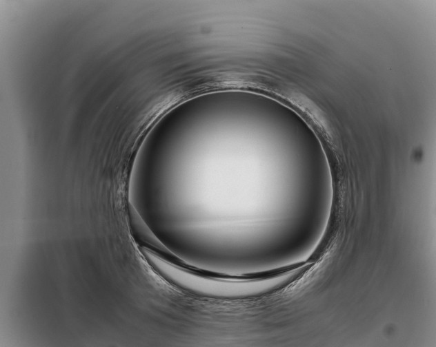 X0000099310801200805091016