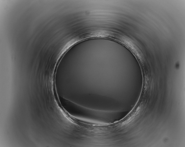 X0000099310802200805091016