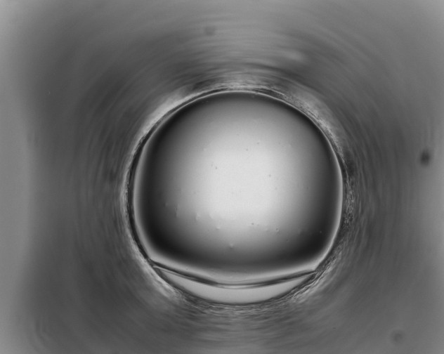 X0000099310803200805091016