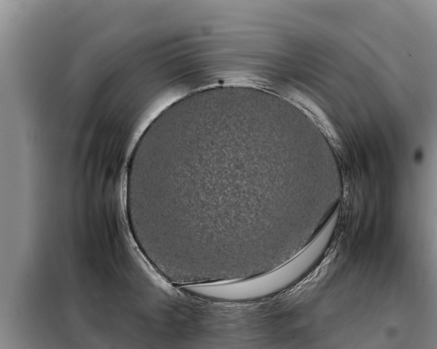 X0000099310804200805091016