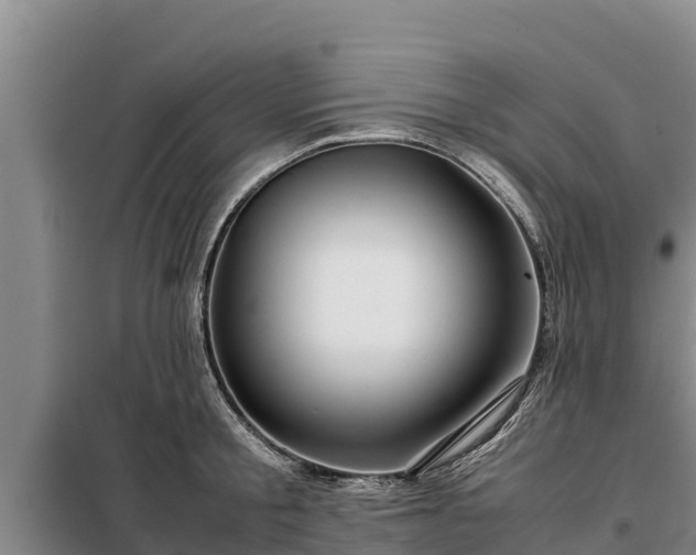 X0000099310805200805091016