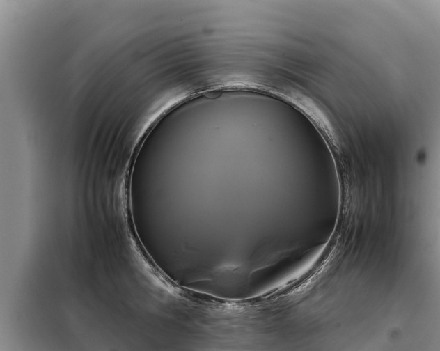 X0000099310806200805091016