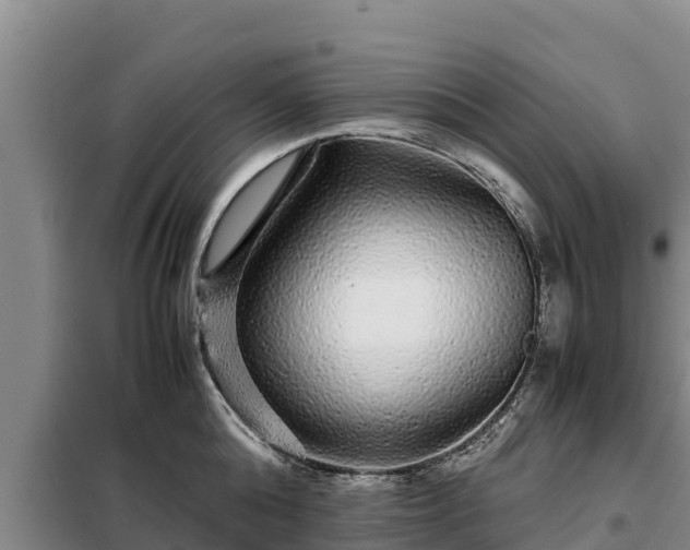 X0000099310808200805091016