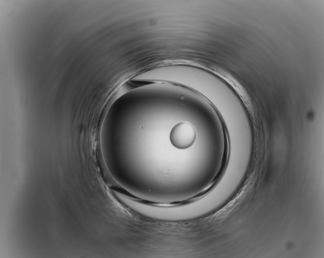 X0000099310809200805091016