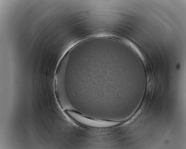 X0000099310810200805091016