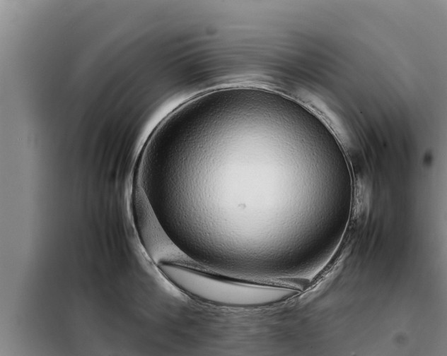 X0000099310812200805091016