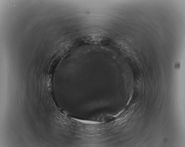 X0000099310818200805091015